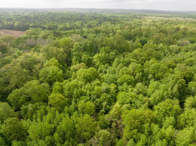 0 Fodice Road, Crockett, TX 75835