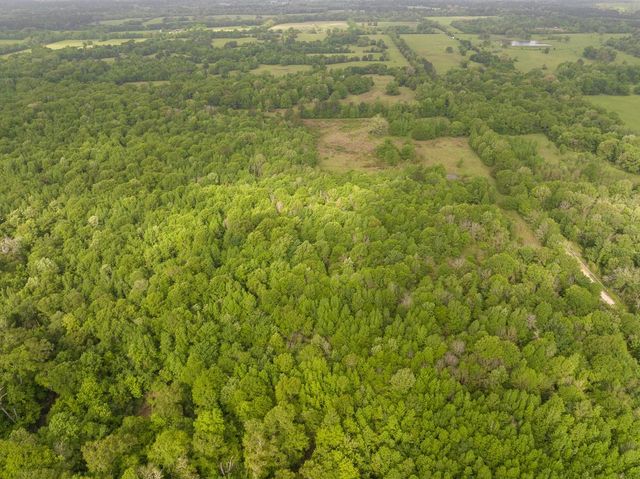 0 Fodice Road, Crockett, TX 75835