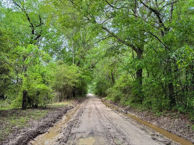 0 Fodice Road, Crockett, TX 75835
