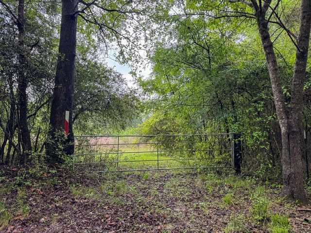 0 Fodice Road, Crockett, TX 75835