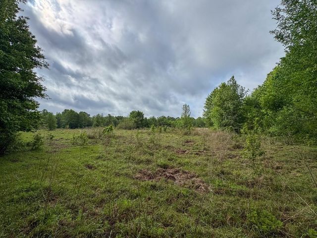 0 Fodice Road, Crockett, TX 75835