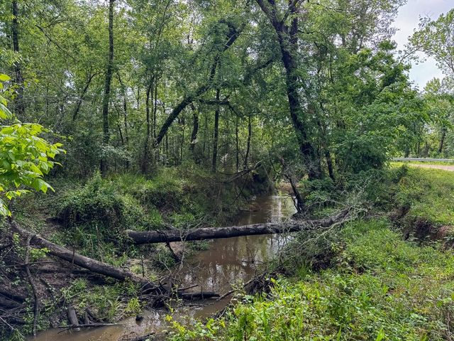 0 Fodice Road, Crockett, TX 75835