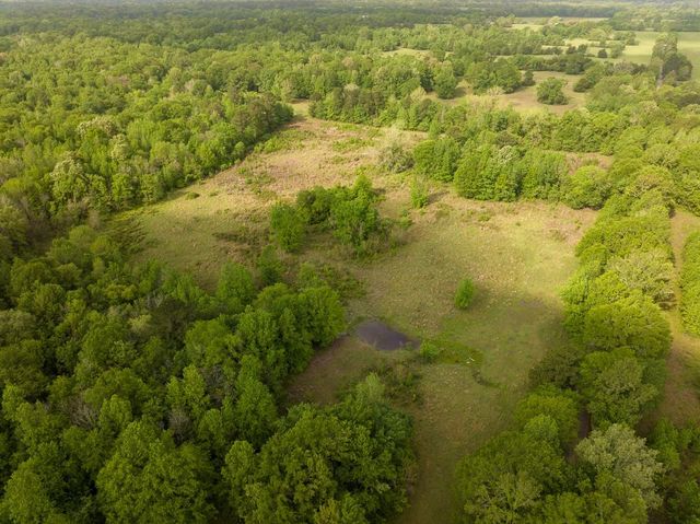 0 Fodice Road, Crockett, TX 75835