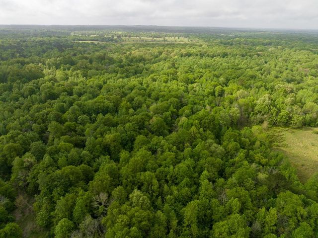 0 Fodice Road, Crockett, TX 75835