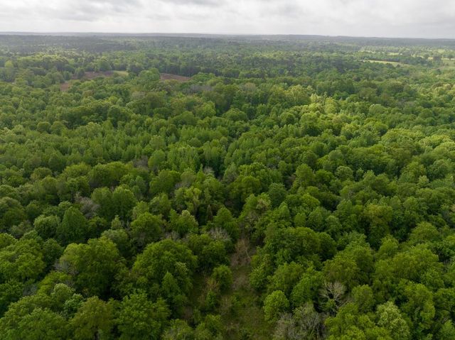 0 Fodice Road, Crockett, TX 75835