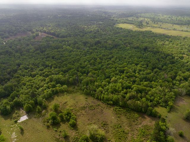 0 Fodice Road, Crockett, TX 75835