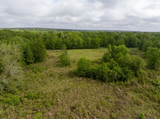 0 Fodice Road, Crockett, TX 75835