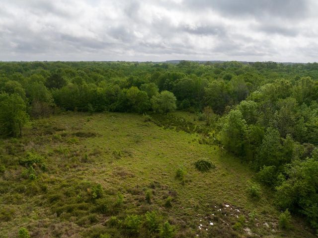 0 Fodice Road, Crockett, TX 75835
