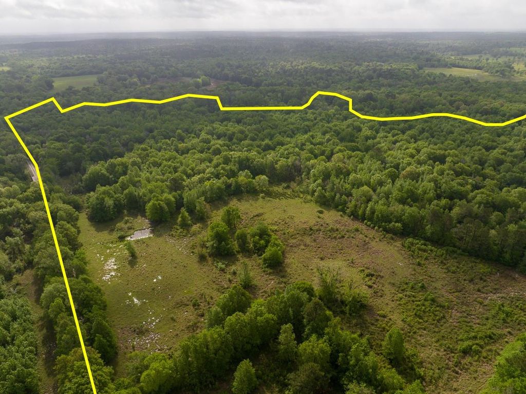 0 Fodice Road, Crockett, TX 75835