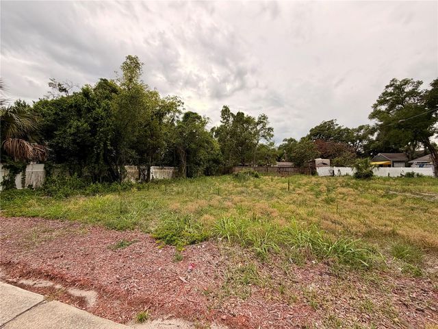3206 N TAMPA STREET, Tampa, FL 33603