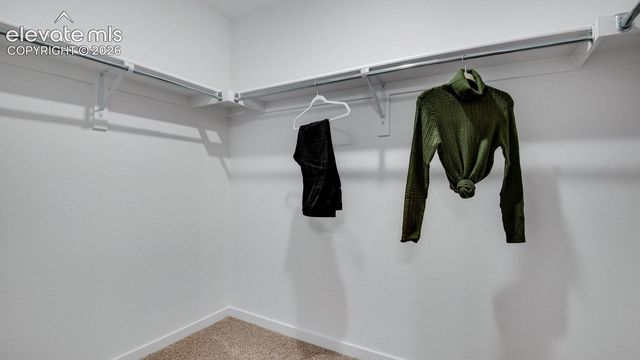 3662 Glenna Place, Colorado Springs, CO 80907