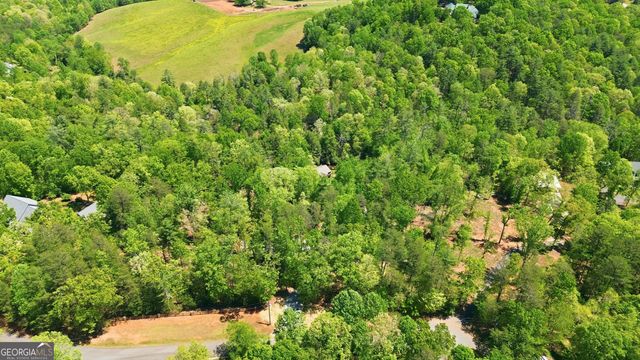 497 Mill Trace Court 11 & 12, Cleveland, GA 30528