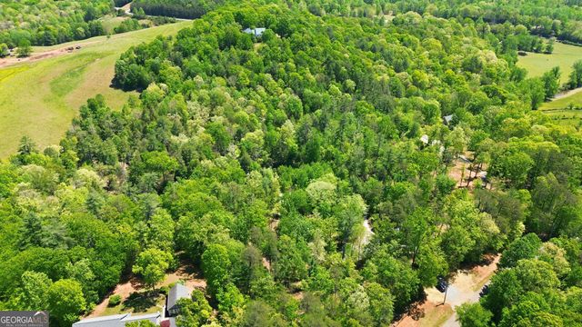 497 Mill Trace Court 11 & 12, Cleveland, GA 30528