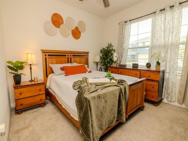 3332 LOGAN BERRY DRIVE, Mount Dora, FL 32757