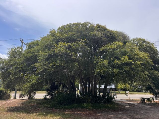 1904 Palmetto Boulevard, Edisto Island, SC 29438