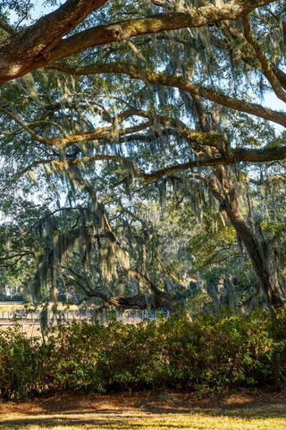 2000 Minott Street, Charleston, SC 29412