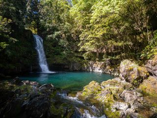 725 Nahiku Rd, Hana, HI 96713