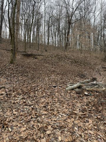 1843D Garrison Branch Rd, Cottontown, TN 37048