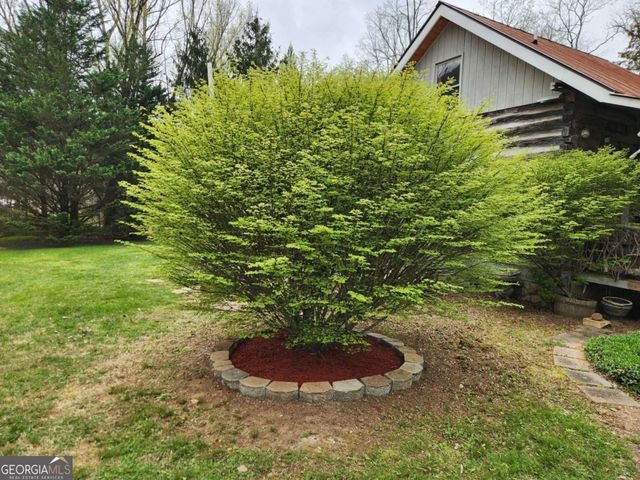 1064 Muskrat Creek Road, Hayesville, NC 28904