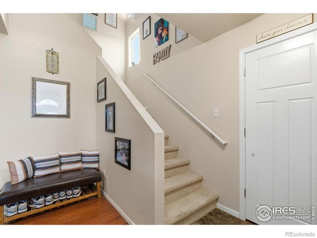 3462 Hewitt Street, Loveland, CO 80538