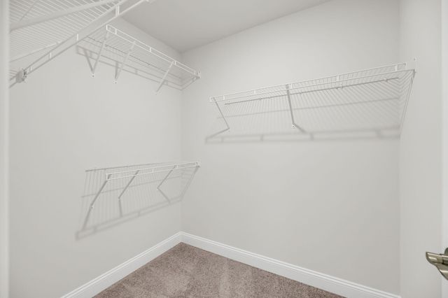 5030 Lady Bird Alley, Johns Island, SC 29455