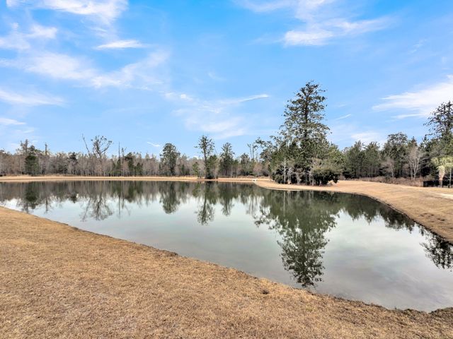 5030 Lady Bird Alley, Johns Island, SC 29455
