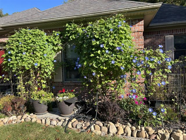 2864 Riverwoods Drive, Rockford, MI 49341