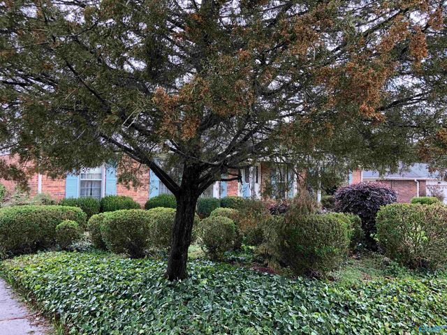 337 Chateau Drive, Huntsville, AL 35801