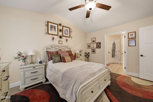 736 Snowflower Circle, Pigeon Forge, TN 37863