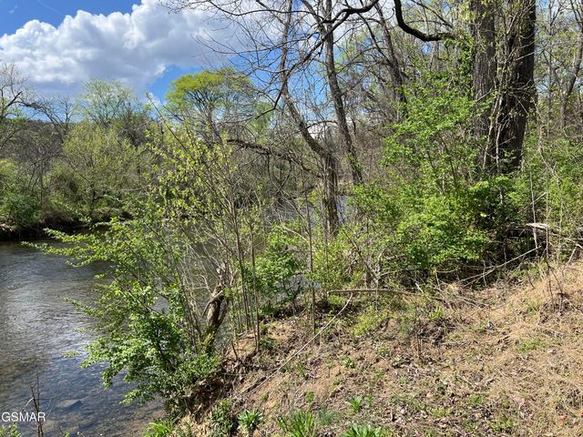 736 Snowflower Circle, Pigeon Forge, TN 37863