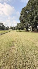 0 County Road 2198, Cleveland, TX 77327