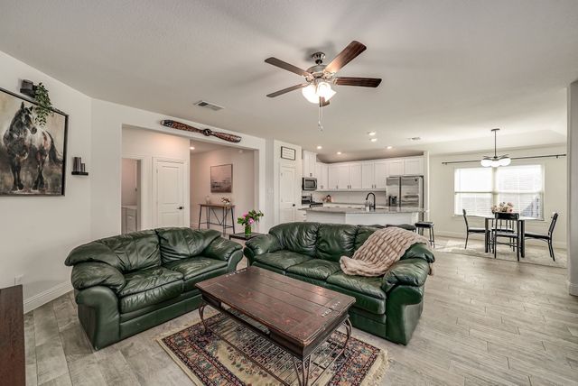 1528 Grassy Knoll Trail, Little Elm, TX 76227