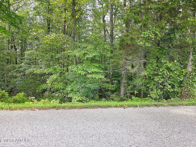 0 Victory Cross Rd, Lafollette, TN 37766