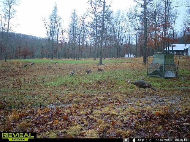 553 Madison 6615, Huntsville, AR 72740