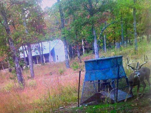 553 Madison 6615, Huntsville, AR 72740