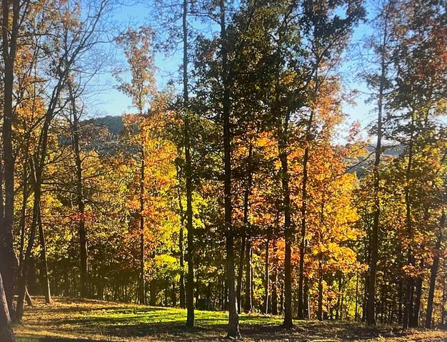 553 Madison 6615, Huntsville, AR 72740