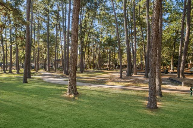 3203 Golden Willow Drive, Houston, TX 77339