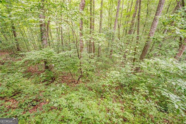 213 Moonshine Hollow, Blue Ridge, GA 30513