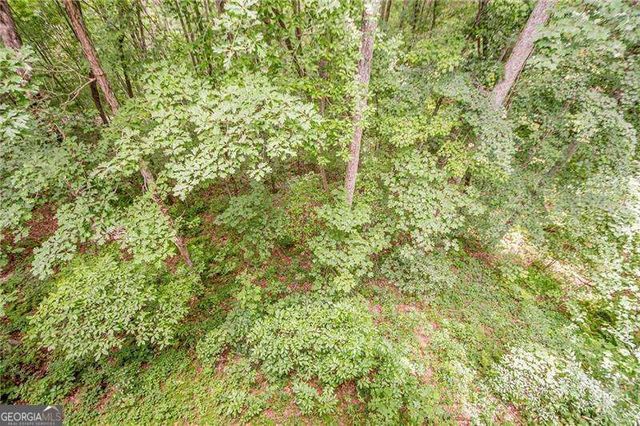 213 Moonshine Hollow, Blue Ridge, GA 30513