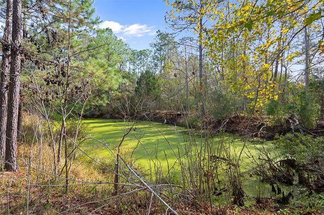 22439 BULL RUN ROAD, Brooksville, FL 34602