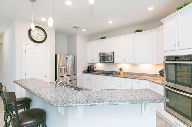 11516 LUCKYGEM DRIVE, Riverview, FL 33579
