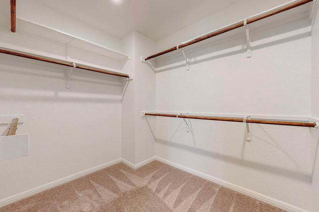 2908 Harvester LN, Round Rock, TX 78664