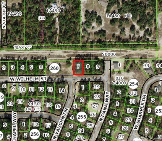 3131 W Wilhelm Street, Citrus Springs, FL 34433