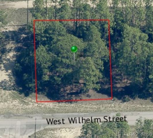 3131 W Wilhelm Street, Citrus Springs, FL 34433