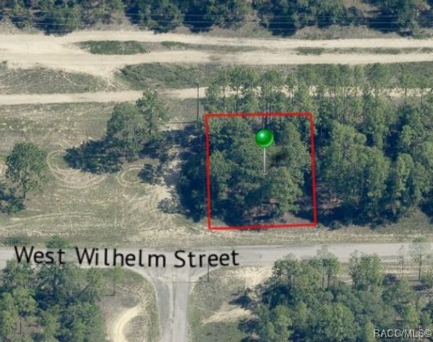 3131 W Wilhelm Street, Citrus Springs, FL 34433