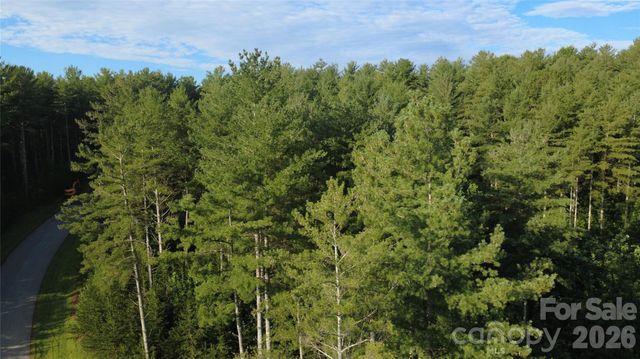 TBD Peninsula Reserve Drive 6, Nebo, NC 28761