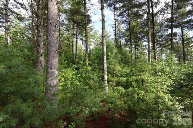 TBD Peninsula Reserve Drive 6, Nebo, NC 28761