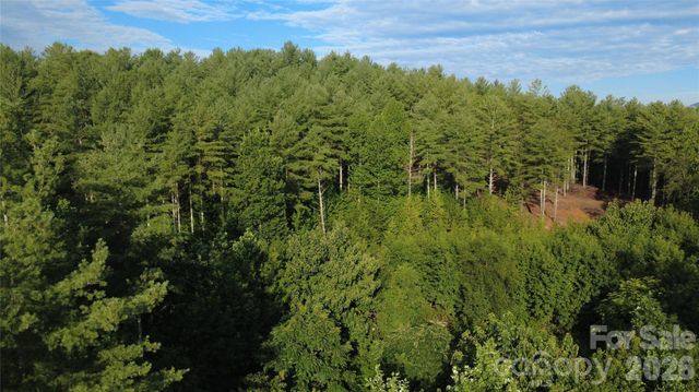 TBD Peninsula Reserve Drive 6, Nebo, NC 28761