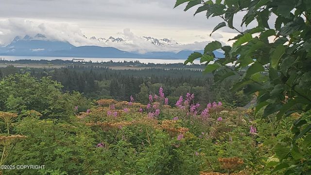 4615 Craftsman Road, Homer, AK 99603