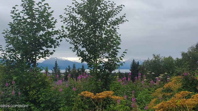 4615 Craftsman Road, Homer, AK 99603